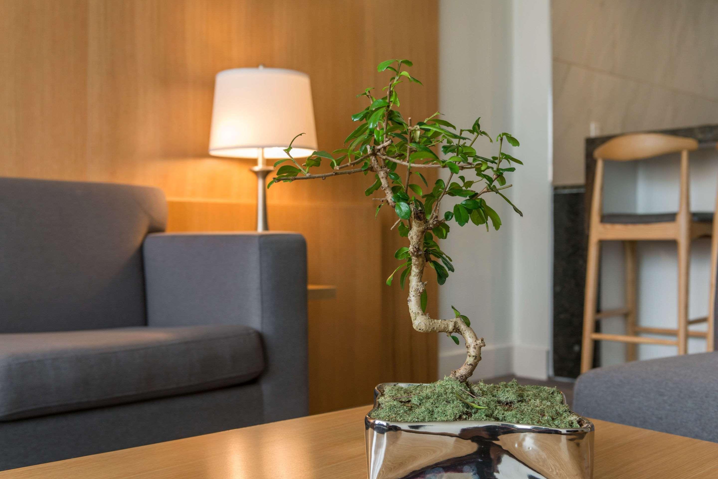 The West Wing Boutique Hotel Тампа Екстериор снимка